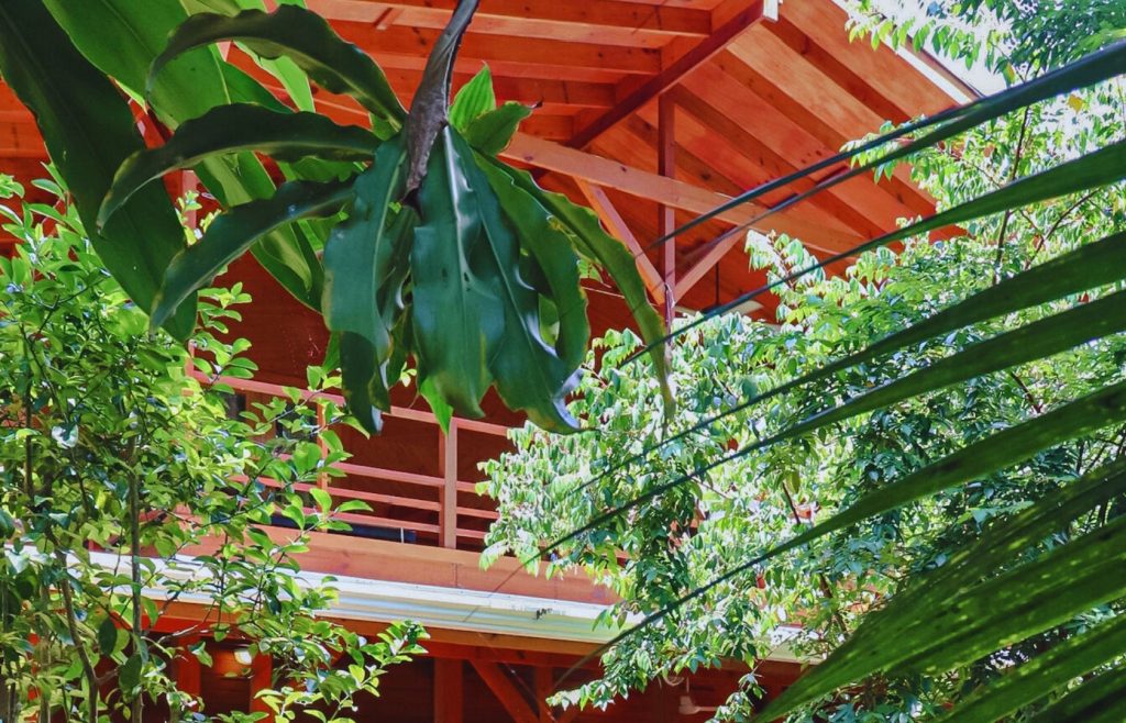 Copy of Bocas, Panama